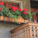 altaner i træ på siden af bygning